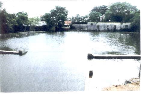 Tank near Sri Kothandaraman Swamy temple, Nandambakkam